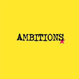 Ambitions网赚项目-副业赚钱-互联网创业-资源整合HIRES SHOP