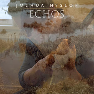 Echos网赚项目-副业赚钱-互联网创业-资源整合HIRES SHOP