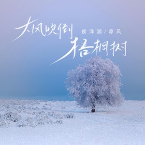 大风吹倒梧桐树网赚项目-副业赚钱-互联网创业-资源整合HIRES SHOP