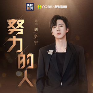 努力的人网赚项目-副业赚钱-互联网创业-资源整合HIRES SHOP