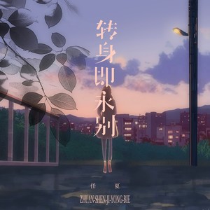 转身即永别网赚项目-副业赚钱-互联网创业-资源整合HIRES SHOP