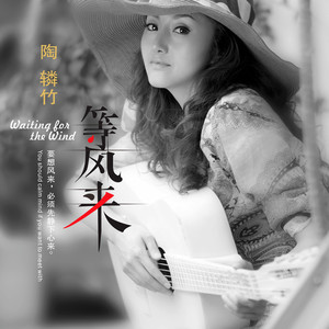 等风来网赚项目-副业赚钱-互联网创业-资源整合HIRES SHOP