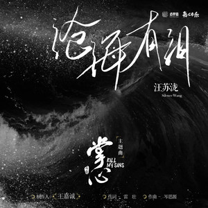 沧海有泪网赚项目-副业赚钱-互联网创业-资源整合HIRES SHOP