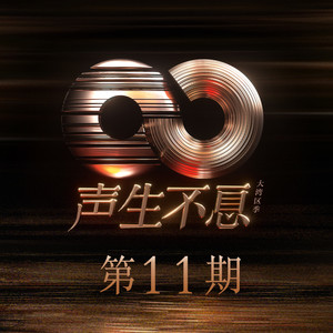 声生不息·大湾区季 第11期网赚项目-副业赚钱-互联网创业-资源整合HIRES SHOP
