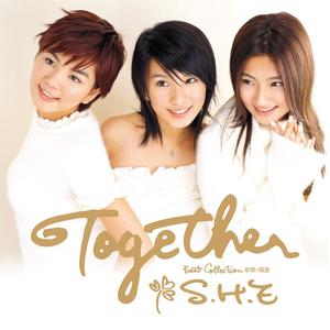 Together 新歌+精选网赚项目-副业赚钱-互联网创业-资源整合HIRES SHOP