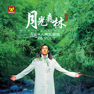 月光森林 (赵鹏人声低音炮2)网赚项目-副业赚钱-互联网创业-资源整合HIRES SHOP
