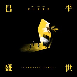 昌平盛世网赚项目-副业赚钱-互联网创业-资源整合HIRES SHOP
