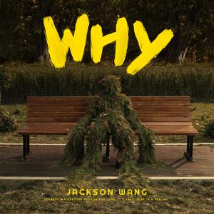 Why Why Why网赚项目-副业赚钱-互联网创业-资源整合HIRES SHOP