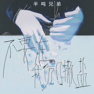 不要在我的伤口撒盐网赚项目-副业赚钱-互联网创业-资源整合HIRES SHOP