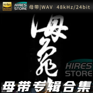海龟先生（WAV母带专辑合集）网赚项目-副业赚钱-互联网创业-资源整合HIRES SHOP
