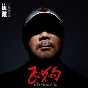 飞狗网赚项目-副业赚钱-互联网创业-资源整合HIRES SHOP
