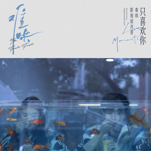 电视剧《难哄》影视原声带·只喜欢你Love Moments网赚项目-副业赚钱-互联网创业-资源整合HIRES SHOP