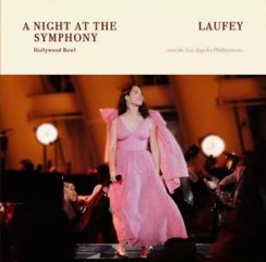 A Night At The Symphony Live at the Hollywood Bowl网赚项目-副业赚钱-互联网创业-资源整合HIRES SHOP