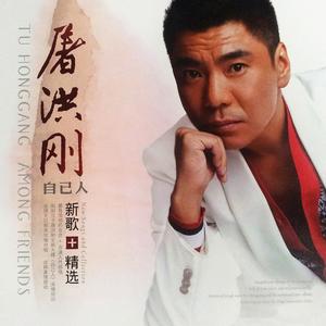 自己人网赚项目-副业赚钱-互联网创业-资源整合HIRES SHOP