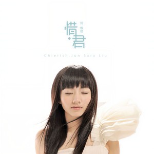 惜·君网赚项目-副业赚钱-互联网创业-资源整合HIRES SHOP