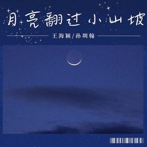 月亮翻过小山坡网赚项目-副业赚钱-互联网创业-资源整合HIRES SHOP