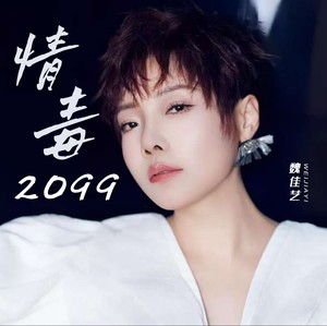 情毒2099网赚项目-副业赚钱-互联网创业-资源整合HIRES SHOP