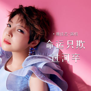 命运只欺过河卒网赚项目-副业赚钱-互联网创业-资源整合HIRES SHOP