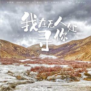 我在无人处寻你网赚项目-副业赚钱-互联网创业-资源整合HIRES SHOP