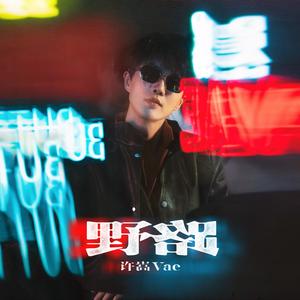 野路网赚项目-副业赚钱-互联网创业-资源整合HIRES SHOP