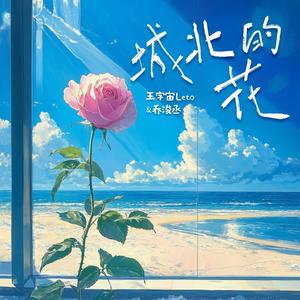城北的花网赚项目-副业赚钱-互联网创业-资源整合HIRES SHOP
