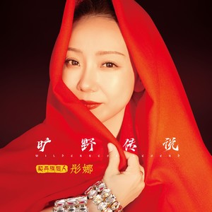 旷野传说网赚项目-副业赚钱-互联网创业-资源整合HIRES SHOP