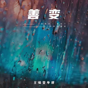 善变网赚项目-副业赚钱-互联网创业-资源整合HIRES SHOP