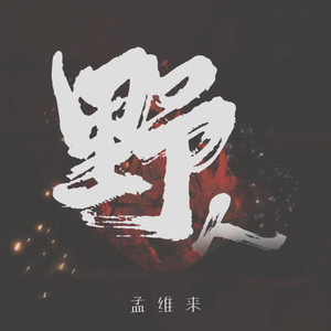 野人网赚项目-副业赚钱-互联网创业-资源整合HIRES SHOP