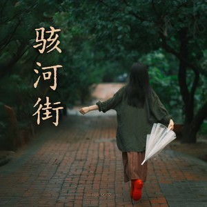 骇河街网赚项目-副业赚钱-互联网创业-资源整合HIRES SHOP