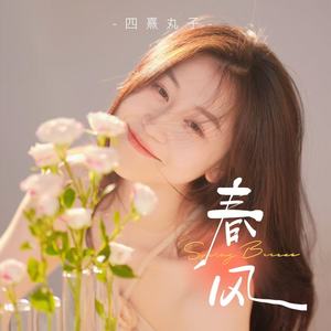 春风网赚项目-副业赚钱-互联网创业-资源整合HIRES SHOP
