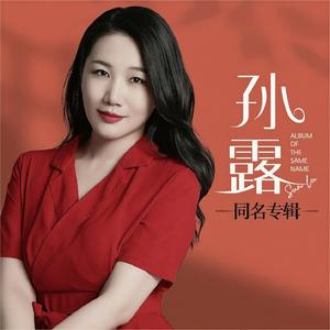 孙露同名专辑网赚项目-副业赚钱-互联网创业-资源整合HIRES SHOP