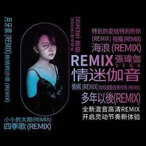 情迷伽音REMIX网赚项目-副业赚钱-互联网创业-资源整合HIRES SHOP