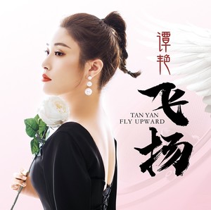 飞扬网赚项目-副业赚钱-互联网创业-资源整合HIRES SHOP
