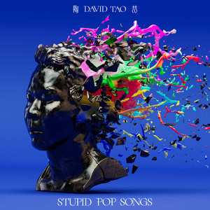 STUPID POP SONGS网赚项目-副业赚钱-互联网创业-资源整合HIRES SHOP