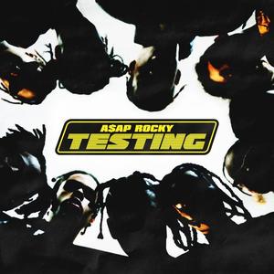 TESTING网赚项目-副业赚钱-互联网创业-资源整合HIRES SHOP