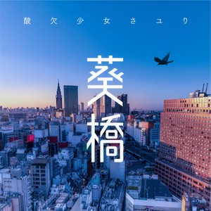 葵橋网赚项目-副业赚钱-互联网创业-资源整合HIRES SHOP