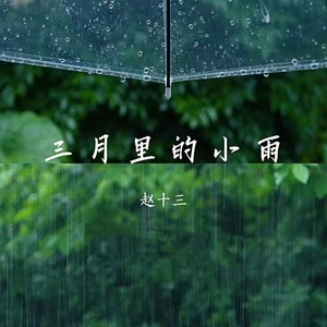 三月里的小雨网赚项目-副业赚钱-互联网创业-资源整合HIRES SHOP