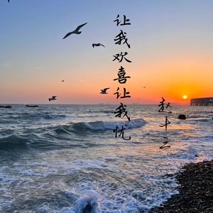 让我欢喜让我忧 (女声版)网赚项目-副业赚钱-互联网创业-资源整合HIRES SHOP