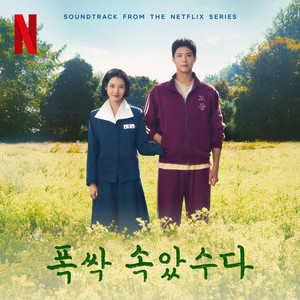 폭싹 속았수다 OST from the Netflix Series – 1막网赚项目-副业赚钱-互联网创业-资源整合HIRES SHOP