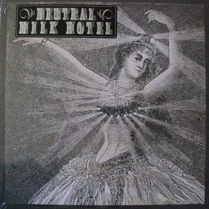 Neutral Milk Hotel Box Set网赚项目-副业赚钱-互联网创业-资源整合HIRES SHOP
