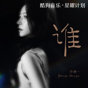 谁网赚项目-副业赚钱-互联网创业-资源整合HIRES SHOP