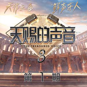 天赐的声音第三季 第1期网赚项目-副业赚钱-互联网创业-资源整合HIRES SHOP