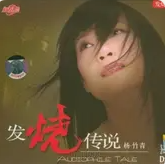 发烧传说网赚项目-副业赚钱-互联网创业-资源整合HIRES SHOP