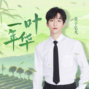 一叶年华网赚项目-副业赚钱-互联网创业-资源整合HIRES SHOP