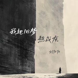 我把旧梦熬成灰网赚项目-副业赚钱-互联网创业-资源整合HIRES SHOP