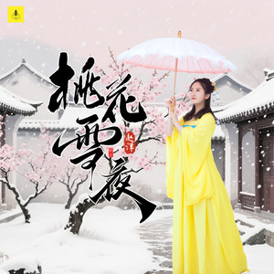 桃花雪夜网赚项目-副业赚钱-互联网创业-资源整合HIRES SHOP