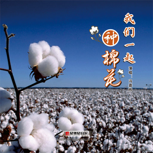 [db:seo标题]