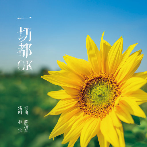 [db:seo标题]