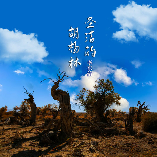 [db:seo标题]