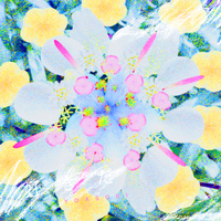 [db:seo标题]